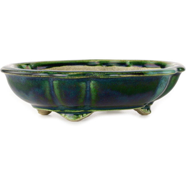 Pot à bonsaï vert lotus avec accent bleu par Terahata Satomi Mazan - 182 x 154 x 48 mm