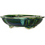 Lotus green with a blue accent bonsai pot by Terahata Satomi Mazan - 182 x 154 x 48 mm