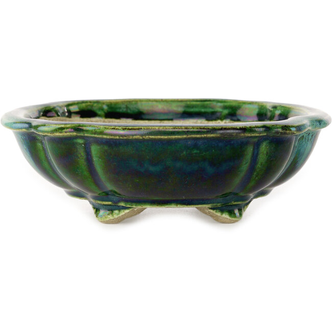 Lotus green with a blue accent bonsai pot by Terahata Satomi Mazan - 182 x 154 x 48 mm