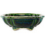 Lotus green with a blue accent bonsai pot by Terahata Satomi Mazan - 182 x 154 x 48 mm