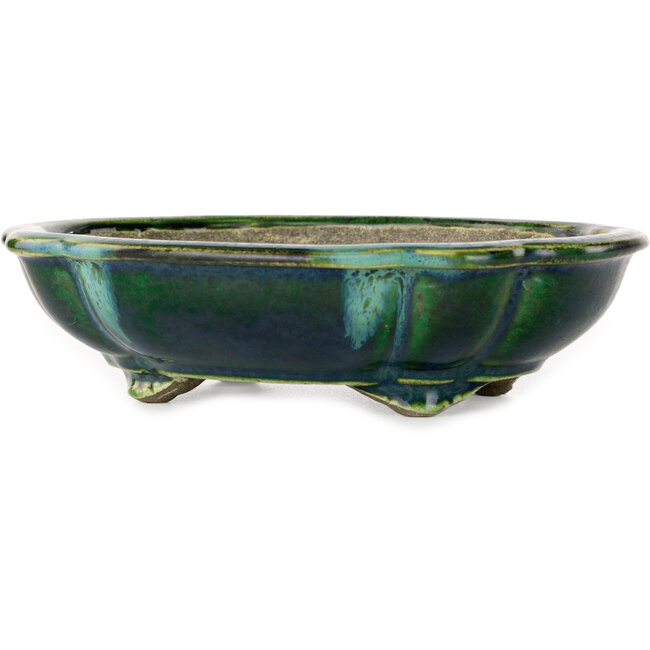 Lotusgroen met blauw accent bonsaipot van Terahata Satomi Mazan - 182 x 154 x 48 mm