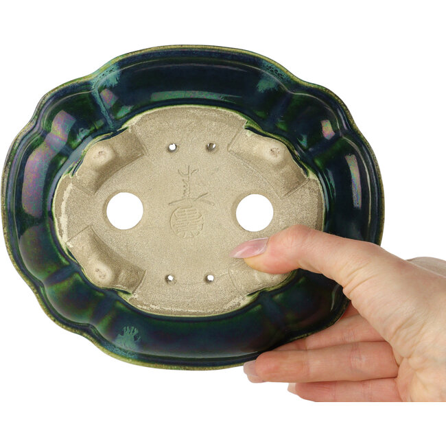 Vaso bonsai verde loto con accenti blu di Terahata Satomi Mazan - 182 x 154 x 48 mm