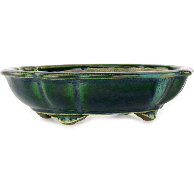 Vaso bonsai verde loto con accenti blu di Terahata Satomi Mazan - 182 x 154 x 48 mm