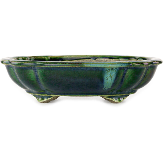 Lotus green with a blue accent bonsai pot by Terahata Satomi Mazan - 182 x 154 x 48 mm