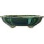 Lotus green with a blue accent bonsai pot by Terahata Satomi Mazan - 182 x 154 x 48 mm