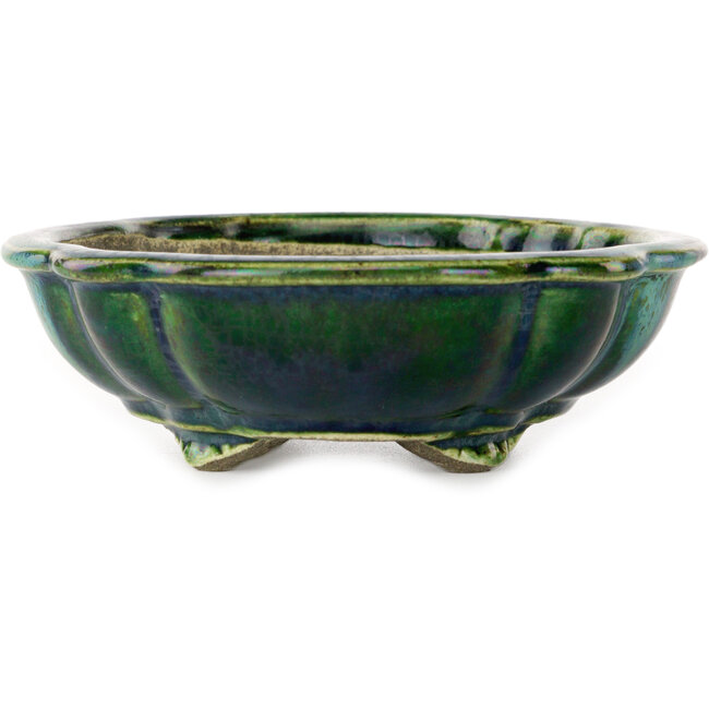 Lotusgroen met blauw accent bonsaipot van Terahata Satomi Mazan - 182 x 154 x 48 mm