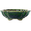 Lotus green with a blue accent bonsai pot by Terahata Satomi Mazan - 182 x 154 x 48 mm