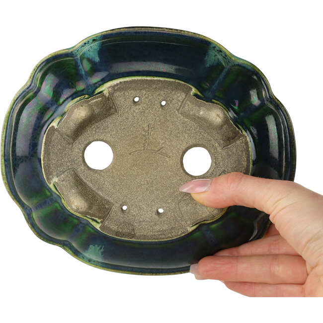 Pot à bonsaï vert lotus avec accent bleu par Terahata Satomi Mazan - 182 x 154 x 48 mm