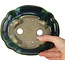Maceta de bonsái verde loto con detalles en azul de Terahata Satomi Mazan - 182 x 154 x 48 mm