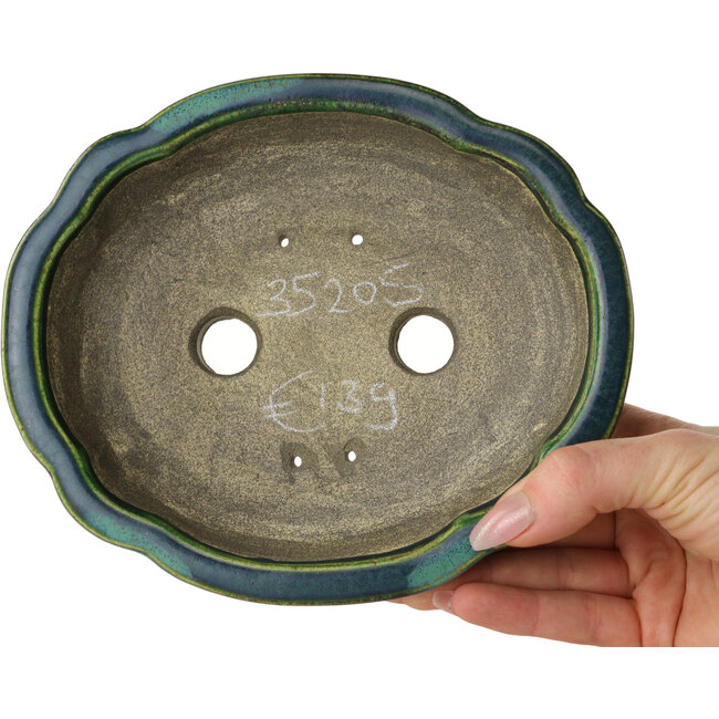 Lotusgrüner Bonsaitopf mit blauem Akzent von Terahata Satomi Mazan – 182 x 154 x 48 mm