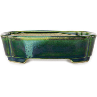  Satomi Mazan, Mazan Terahata Maceta para bonsái verde mokko de 160 mm con detalles en azul de Terahata Satomi Mazan, Tokoname, Japón