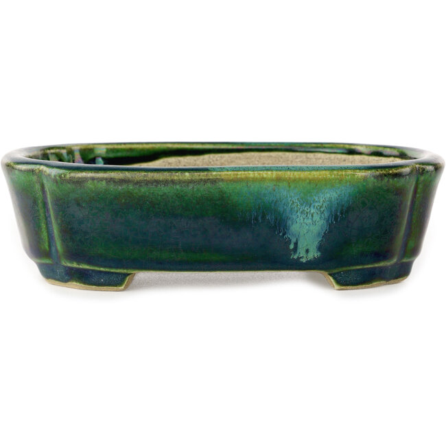 Mokkogrüner Bonsaitopf mit blauem Akzent von Terahata Satomi Mazan – 160 x 120 x 45 mm