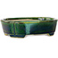 Maceta para bonsái verde Mokko con detalles en azul de Terahata Satomi Mazan - 160 x 120 x 45 mm