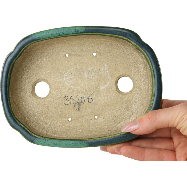 Pot à bonsaï Mokko vert avec accent bleu par Terahata Satomi Mazan - 160 x 120 x 45 mm