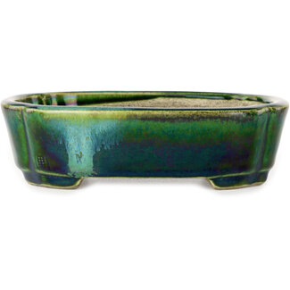  Satomi Mazan, Mazan Terahata Vaso bonsai verde mokko da 160 mm con accenti blu di Terahata Satomi Mazan, Tokoname, Giappone