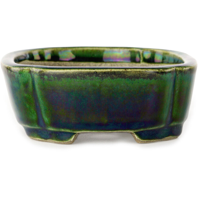 Vaso bonsai Mokko verde con accenti blu di Terahata Satomi Mazan - 160 x 120 x 45 mm