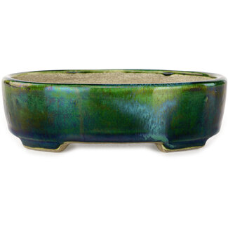  Satomi Mazan, Mazan Terahata Pot à bonsaï ovale vert de 157 mm avec un accent bleu par Terahata Satomi Mazan, Tokoname, Japon