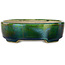 Pot à bonsaï ovale vert avec accent bleu par Terahata Satomi Mazan - 157 x 130 x 47 mm