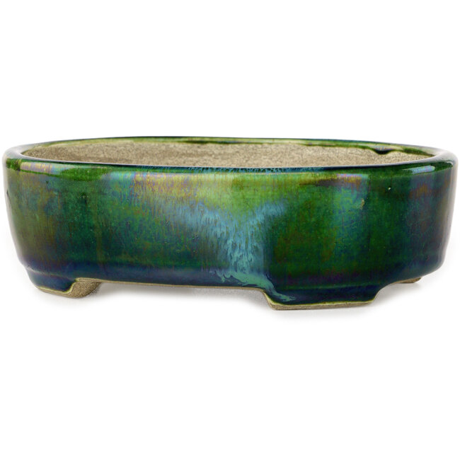 Maceta ovalada para bonsái verde con detalles en azul de Terahata Satomi Mazan - 157 x 130 x 47 mm