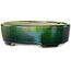 Ovaler grüner Bonsai-Topf mit blauem Akzent von Terahata Satomi Mazan – 157 x 130 x 47 mm
