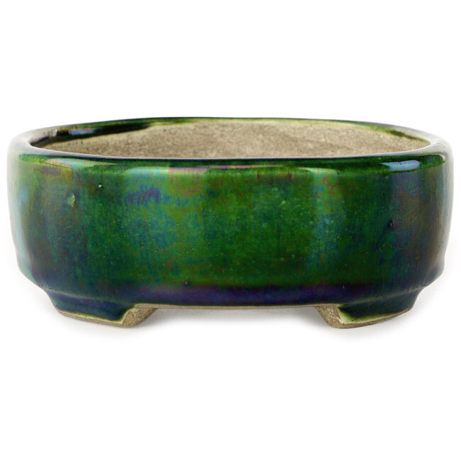 Vaso bonsai ovale verde con accenti blu di Terahata Satomi Mazan - 157 x 130 x 47 mm