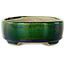 Vaso bonsai ovale verde con accenti blu di Terahata Satomi Mazan - 157 x 130 x 47 mm