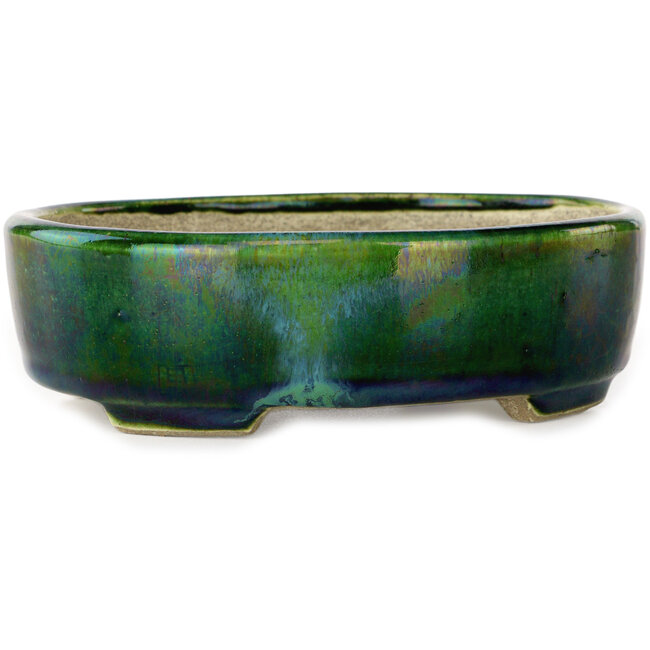 Ovaal groen met blauw accent bonsaipot van Terahata Satomi Mazan - 157 x 130 x 47 mm