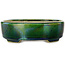 Oval green with a blue accent bonsai pot by Terahata Satomi Mazan - 157 x 130 x 47 mm