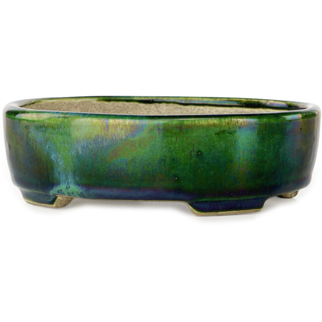 Ovaal groen met blauw accent bonsaipot van Terahata Satomi Mazan - 157 x 130 x 47 mm