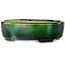 Ovaler grüner Bonsai-Topf mit blauem Akzent von Terahata Satomi Mazan – 157 x 130 x 47 mm