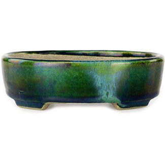  Satomi Mazan, Mazan Terahata Pot à bonsaï ovale vert de 157 mm avec un accent bleu par Terahata Satomi Mazan, Tokoname, Japon