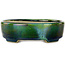 Pot à bonsaï ovale vert avec accent bleu par Terahata Satomi Mazan - 157 x 130 x 47 mm