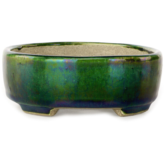 Pot à bonsaï ovale vert avec accent bleu par Terahata Satomi Mazan - 157 x 130 x 47 mm