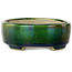 Ovaal groen met blauw accent bonsaipot van Terahata Satomi Mazan - 157 x 130 x 47 mm