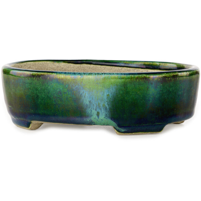 Vaso bonsai ovale verde con accenti blu di Terahata Satomi Mazan - 157 x 130 x 47 mm