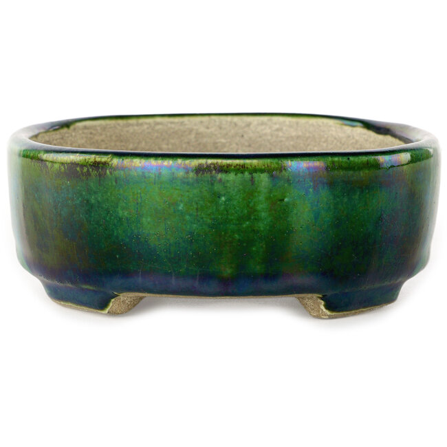 Pot à bonsaï ovale vert avec accent bleu par Terahata Satomi Mazan - 157 x 130 x 47 mm