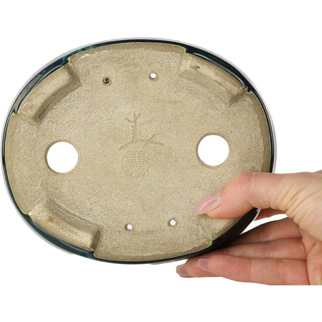 Ovaal groen met blauw accent bonsaipot van Terahata Satomi Mazan - 157 x 130 x 47 mm