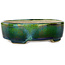 Vaso bonsai ovale verde con accenti blu di Terahata Satomi Mazan - 157 x 130 x 47 mm