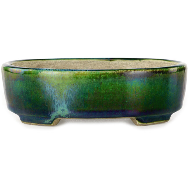 Vaso bonsai ovale verde con accenti blu di Terahata Satomi Mazan - 157 x 130 x 47 mm