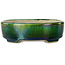 Vaso bonsai ovale verde con accenti blu di Terahata Satomi Mazan - 157 x 130 x 47 mm