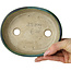 Vaso bonsai ovale verde con accenti blu di Terahata Satomi Mazan - 157 x 130 x 47 mm