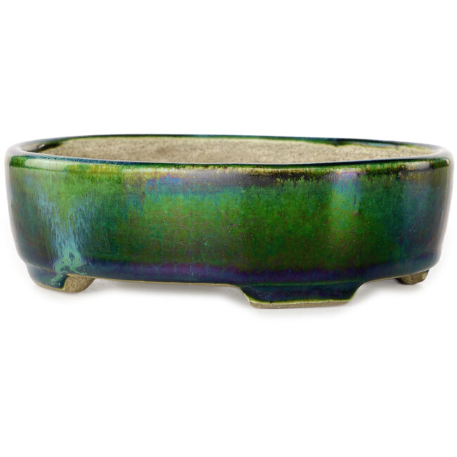 Maceta ovalada para bonsái verde con detalles en azul de Terahata Satomi Mazan - 157 x 130 x 47 mm