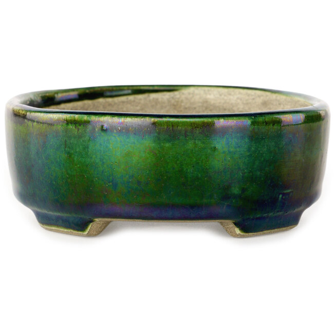 Ovaler grüner Bonsai-Topf mit blauem Akzent von Terahata Satomi Mazan – 157 x 130 x 47 mm