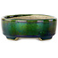 Ovaler grüner Bonsai-Topf mit blauem Akzent von Terahata Satomi Mazan – 157 x 130 x 47 mm