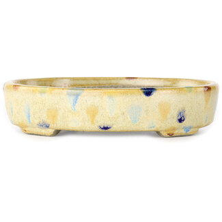  Satomi Mazan, Mazan Terahata 140 mm ovale beige craquelé, veelkleurige bonsaipot van Terahata Satomi Mazan, Tokoname, Japan