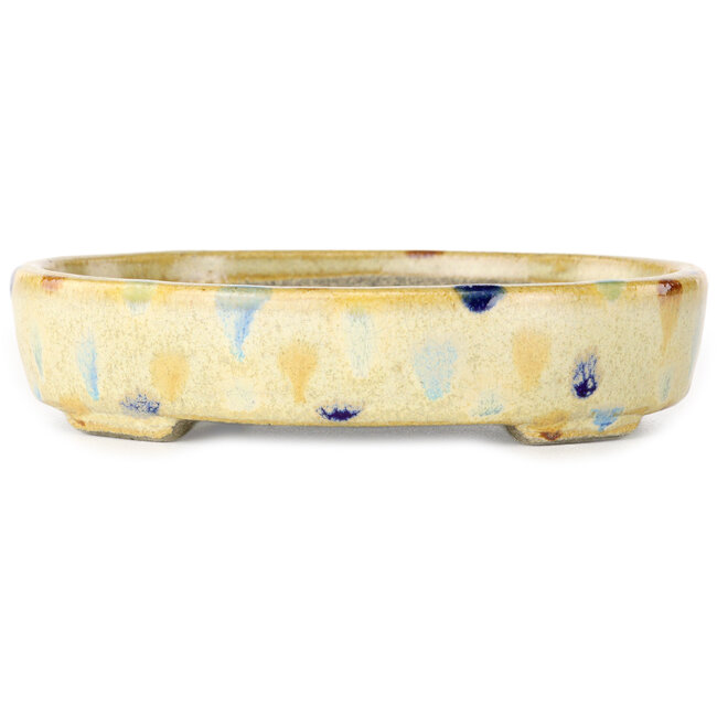 Pot à bonsaï ovale beige craquelé, multicolore par Terahata Satomi Mazan - 140 x 115 x 30 mm