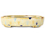 Oval beige craquelé, multicolor bonsai pot by Terahata Satomi Mazan - 140 x 115 x 30 mm