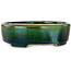 Maceta ovalada para bonsái verde con detalles en azul de Terahata Satomi Mazan - 157 x 130 x 47 mm