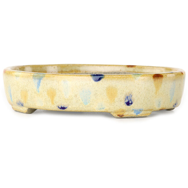 Vaso bonsai ovale beige craquelé e multicolore di Terahata Satomi Mazan - 140 x 115 x 30 mm