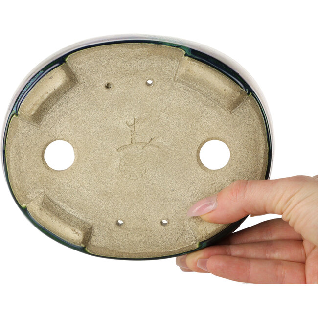 Pot à bonsaï ovale vert avec accent bleu par Terahata Satomi Mazan - 157 x 130 x 47 mm